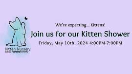 Kitten Shower