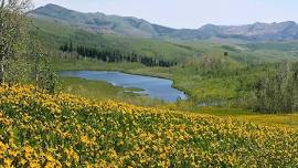 Historical Tour of Jarbidge & Salmon Tract