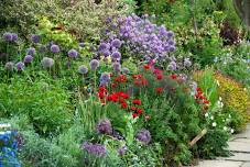 Planning and preparing your border for spring and summer