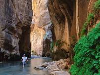 Zion. Narrows Trail