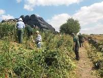 Balsam Bashing for Great Big Green Week at Smithills Estate