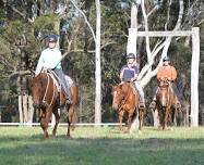 November – The Rider Horsemanship BluePrint Clinic