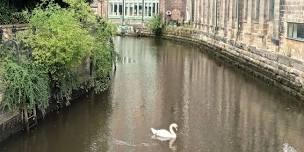 Ouseburn River Life | Ouseburn Summer Walks