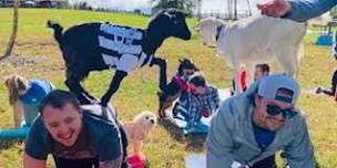 Baby Goat Yoga