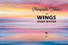 “Photographic Tribute to Wings Over Water” at the Tom Ridge Center