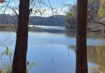 Hike Gold Branch Trails by the Chattahoochee