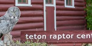 On the Road at Teton Raptor Center