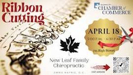 Ribbon Cutting for New Leaf Family Chiropractic  — Baldwin City Chamber of Commerce