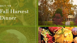 Fall Harvest Dinner