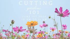 Cutting Garden 101 with Judy