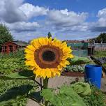 Carers Week Garden Party