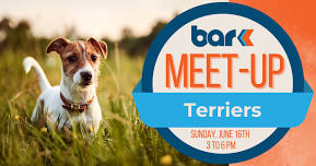 Breed Meet-Up: Terriers