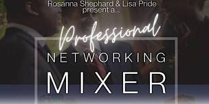 Professional Networking Mixer: Houston!