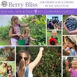 Berry Bliss: U-Pick Blueberry & Blackberry Pickin’ Adventures