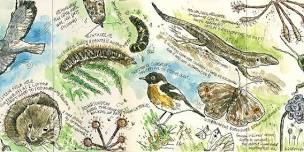 Free Tasters: Nature Journaling with Steve Pardue