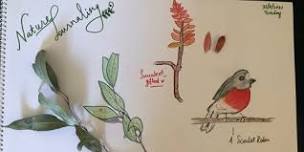 Shepparton Library - Introduction to Nature Journaling