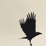 Ravens: Messengers and Portents