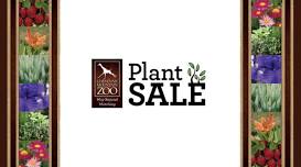 CMZoo Plant Sale 2024