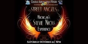 Stevie Nicks Tribute by Street Angel