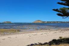 Victor Harbor History Tour: Whaling, Shipwrecks and Settlers Tales