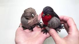 Yarn Birds Craft