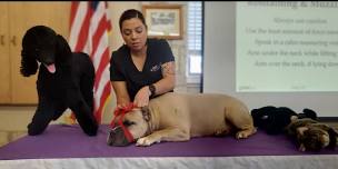 Canine First Aid & CPR Certification Course