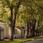 Historic Tree Walk