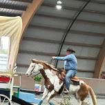 Ridden Horsemanship and Obstacles