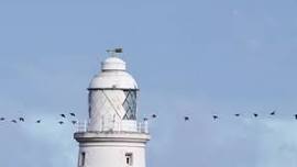 Explore Whitley Bay's coastal wonders