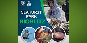 Volunteers needed to help document species & plants at Seahurst Park ‘Bioblitz’ on Saturday, June 8