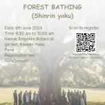 Forest Bathing (Shinrin Yoku)