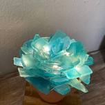 Sea Glass Succulents - you can’t K*ll these plants!