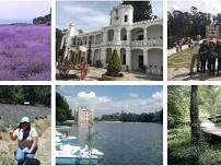 Exploring ex-Hacienda de Chautla, Castillo Gillow and Bosque de Lavanda