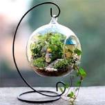 Terrariums