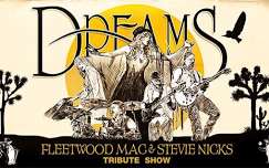 Fleetwood Mac & Stevie Nicks Tribute