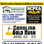 Carolina Gold Rush