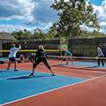 Pickleball League Mixed Doubles Beginner B