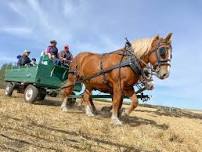 ART of the Harvest — Airdrie & District Agricultural Society