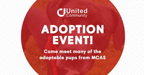 United Community Bank Adoption Event!