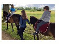 Pony ride and small farm