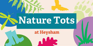 Nature Tots at Heysham Nature Reserve - 16th October 2024