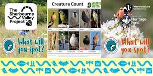 Sherbourne Valley Project- Creature Count Event