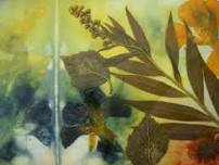 Botanical Printing