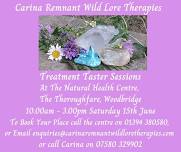 Treatment Taster Sessions in Reiki, Crystal Energy Therapy, Flower Essence Therapy