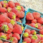 Northern Cambria Farmer's Market is Open for the season