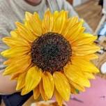 Cold Porcelain Flower Workshop - Beaut Blooms