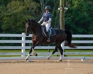 MDS Evening Show at Fusion Equestrian