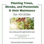 Planting Trees, Shrubs and Perennials & their Maintenance — Caras Nursery