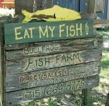 Live Music at Jeremiah’s Bullfrog Fish Farm