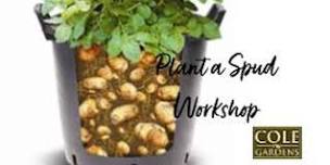 Plant a Spud Workshop